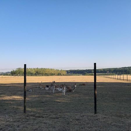Lemen Huis Houwaart Tielt 外观 照片
