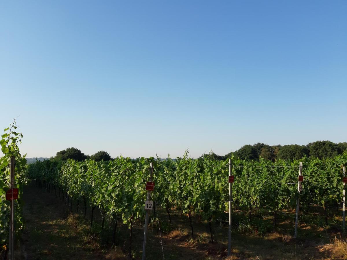 Lemen Huis Houwaart Tielt 外观 照片