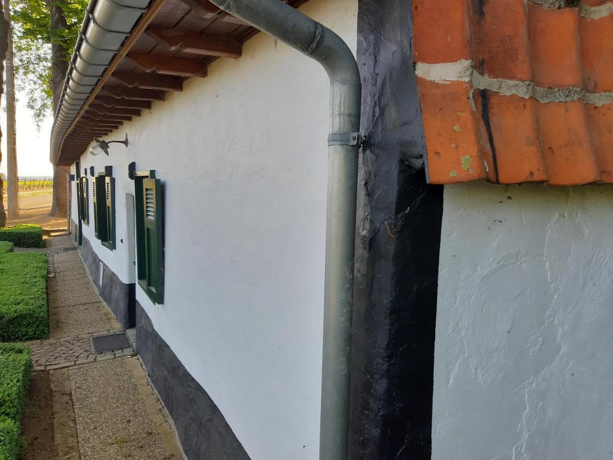 Lemen Huis Houwaart Tielt 外观 照片